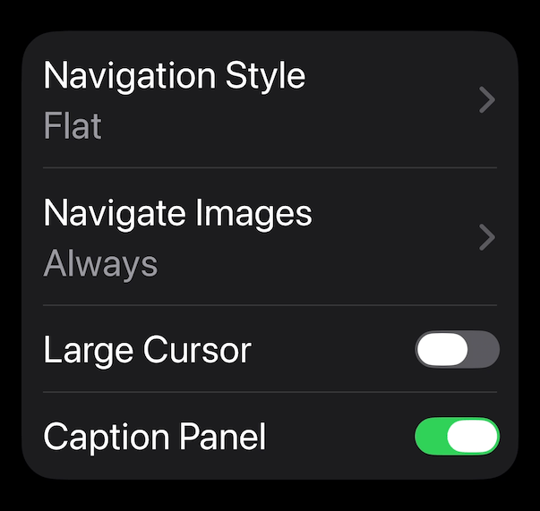 iOS' VoiceOver caption panel setting iOS' VoiceOver caption panel toggle